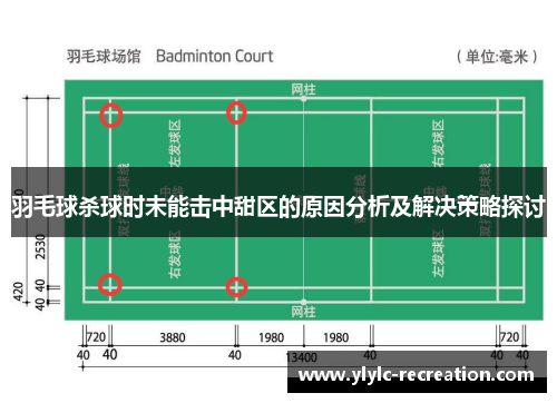 羽毛球杀球时未能击中甜区的原因分析及解决策略探讨
